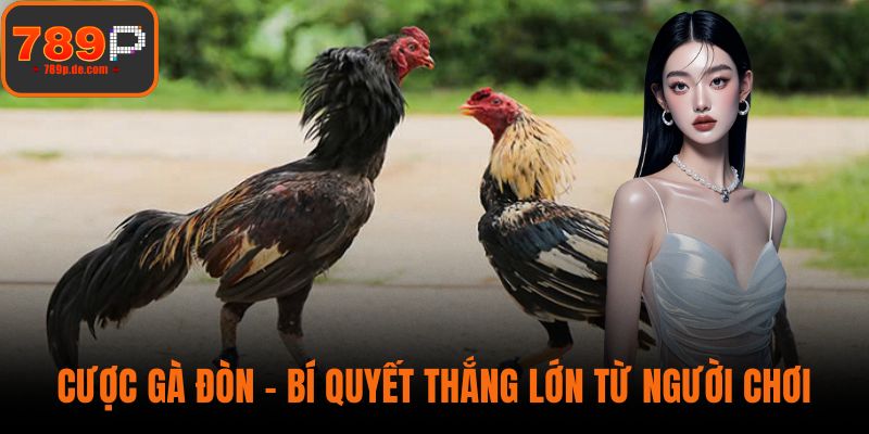 Cược Gà Đòn - Bí Quyết Thắng Lớn Từ Người Chơi Chuyên Nghiệp