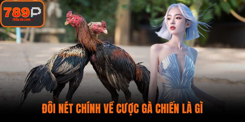 Đôi nét chính về cược gà chiến là gì