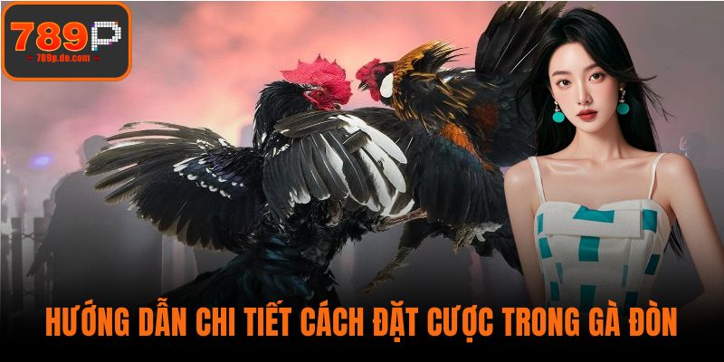 Hướng dẫn chi tiết cách đặt cược trong gà đòn