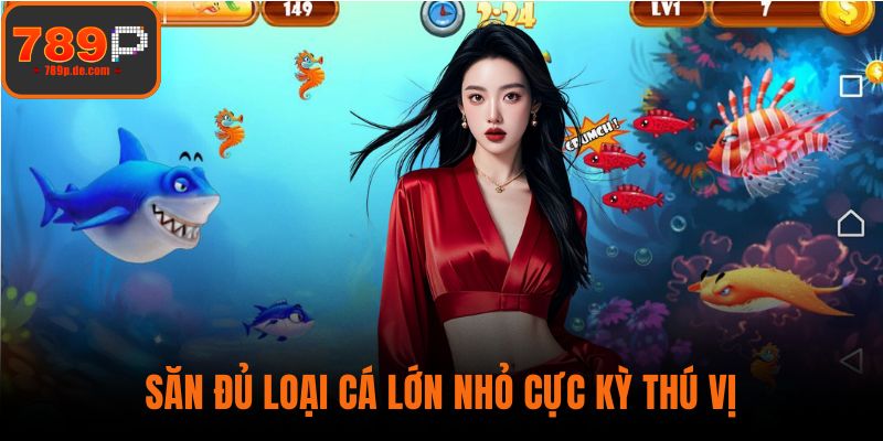 Săn đủ loại cá lớn nhỏ cực kỳ thú vị
